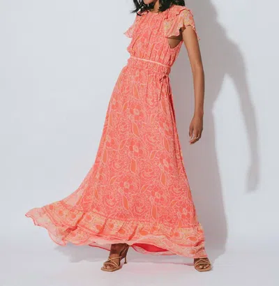 Cleobella Hannah Maxi Dress In Blossom Block Print In Pink