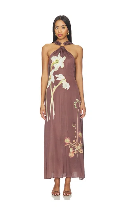 Cleobella Ives Maxi Dress In Brown