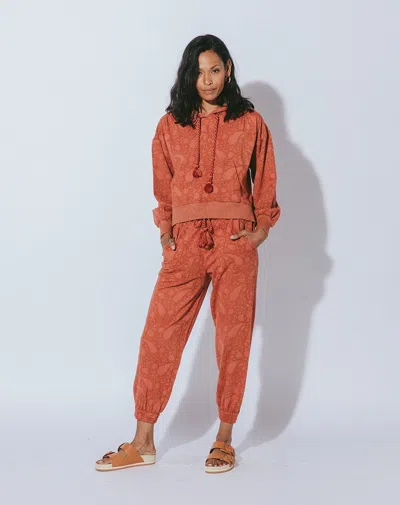 Cleobella Juniper Jogger In Black / Yellow / Ivory