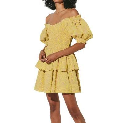 Cleobella Luna Mini Dress In Camellia In Multi