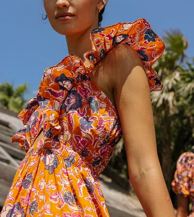 Cleobella Maia Ankle Dress In Multi