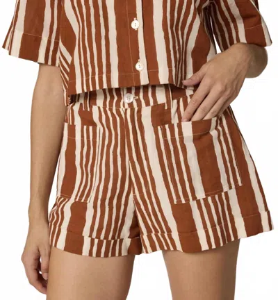 Cleobella Niko Short In Vecchio Stripe In Brown