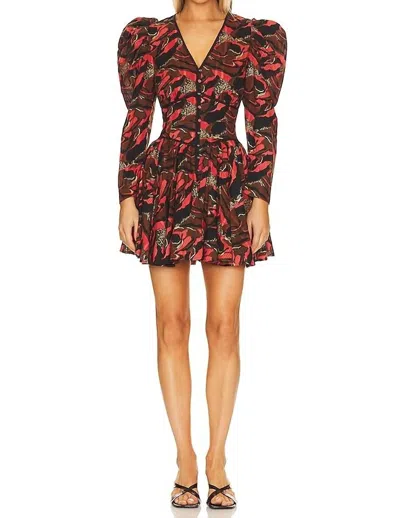 Cleobella Reagen Mini Dress In Canyon In Multi