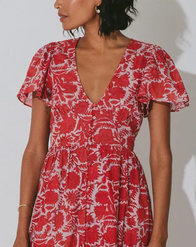 Cleobella Sasha Ankle Dress | Flora In Animal Print
