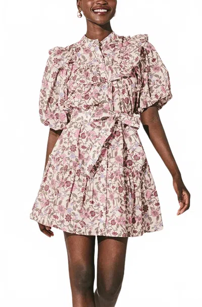 Cleobella Willa Mini Dress In Kaia Print In Multi