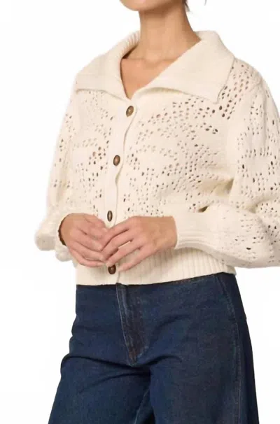 Cleobella Willow Sweater Cardigan In Ivory In Multi