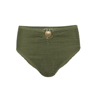 Cleonie Island Bikini Bottom Moss In Green