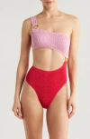 Cleonie Shell Colorblock One-piece Swimsuit In Cherry Blossom