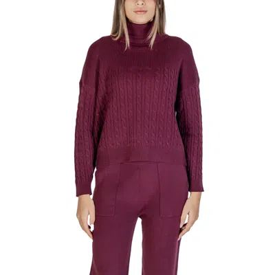 Cleré Bordeaux Viscose Turtleneck In Purple