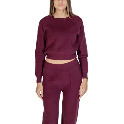 Cleré Purple Viscose Sweater In Burgundy