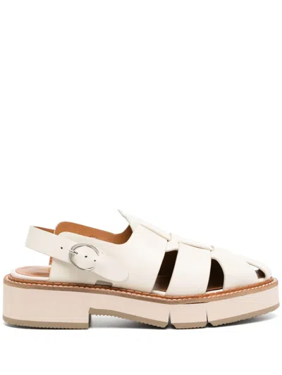 Clergerie Connor Sandles In Neutrals