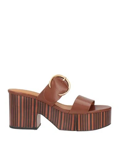 Clergerie Woman Sandals Brown Size 9.5 Leather