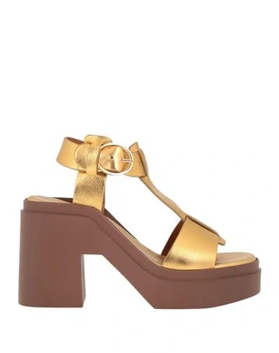Clergerie Woman Sandals Gold Size 7.5 Leather In Brown