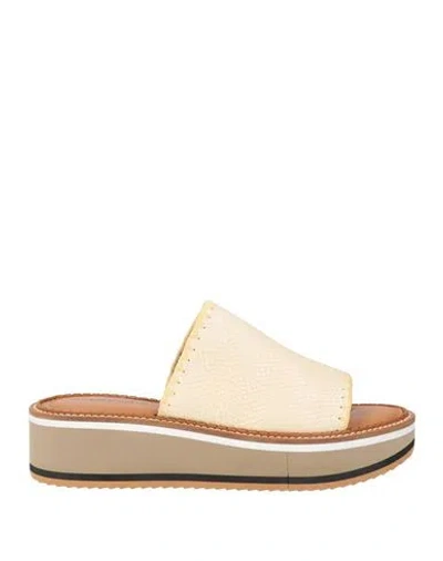 Clergerie Woman Sandals Ivory Size 6.5 Leather In White