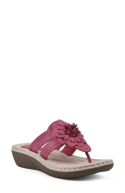 Cliffs By White Mountain Cassia Flower Flip Flop In Dark Fuchsia/ Smooth