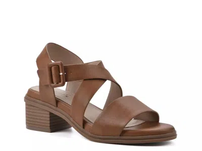 Cliffs By White Mountain Cordovan Sandal In Brown
