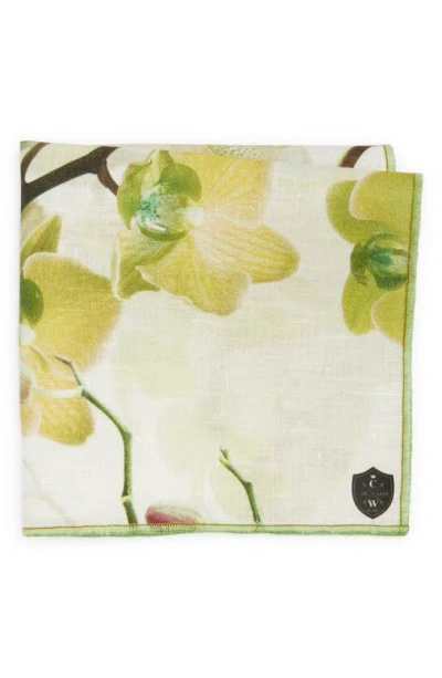 Clifton Wilson Floral Linen Pocket Square In Olive