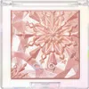 Clió Clio Prism Highlighter In Multi