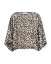 Clips More Woman Top Beige Size 10 Polyester In Brown