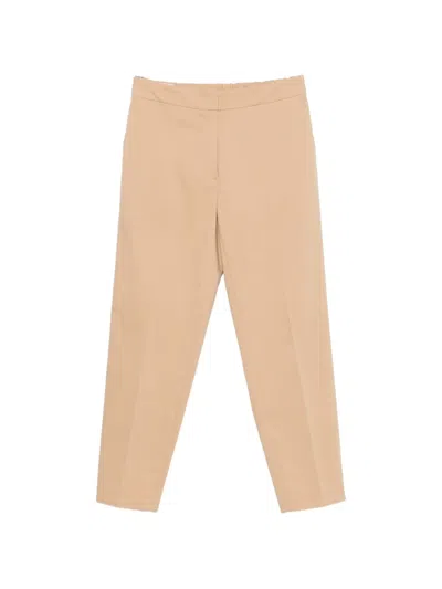 Clips Tailored Trousers In Brown