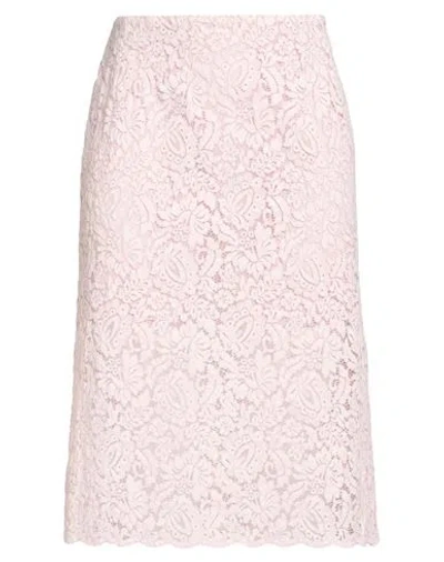 Clips Woman Midi Skirt Pink Size 16 Polyamide, Cotton, Elastane