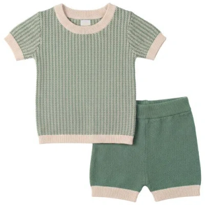 Clo Babies' Clô 2 Piece Knit Set Short Sleeve Top And Shorts In Green