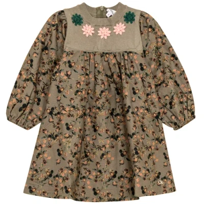Clo Kids' Clô Long Sleeve Flower Print Embroidered Dress In Green