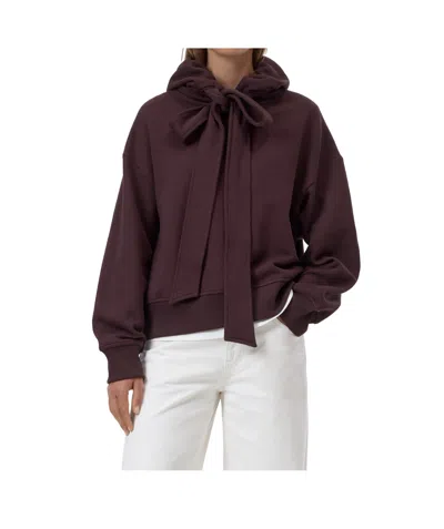 Closed Bow-detail Hooded Sweatshirt In Brown