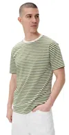 Closed Classic Tee Pine Green In Green