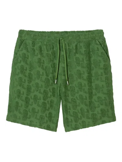 Closed Cotton Shorts In Green