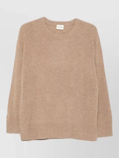 Closed Crew Neck Long Sleeve Knit Top In Brown