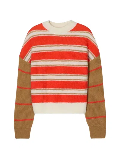 Closed Crew-neck Striped Sweater In Brown