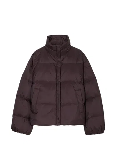 Closed Cropped Puffer Jacket In Brown
