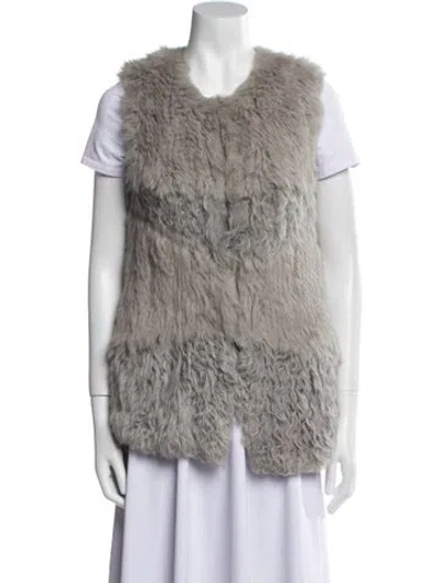 Pre-owned Closed Fur In Gray