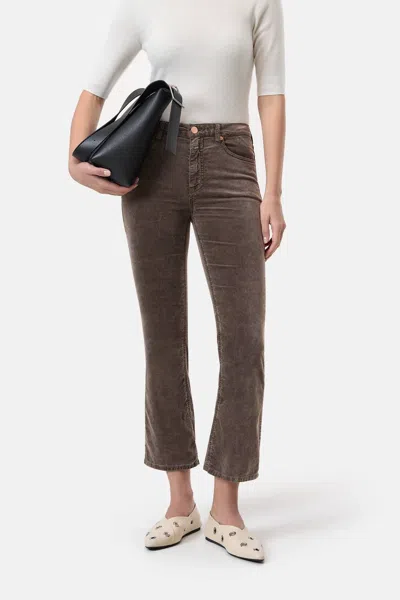 Closed Hi Sun Jeans In Mocha In Brown
