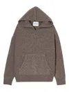 Closed Hooded Sweater In Brown