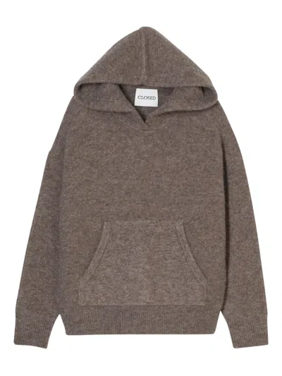 Closed Hooded Sweater In Brown