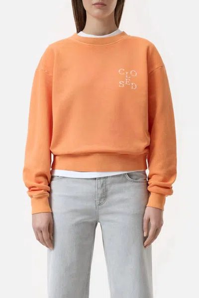 Closed Printed Sweatshirt In Pumpkin Orange