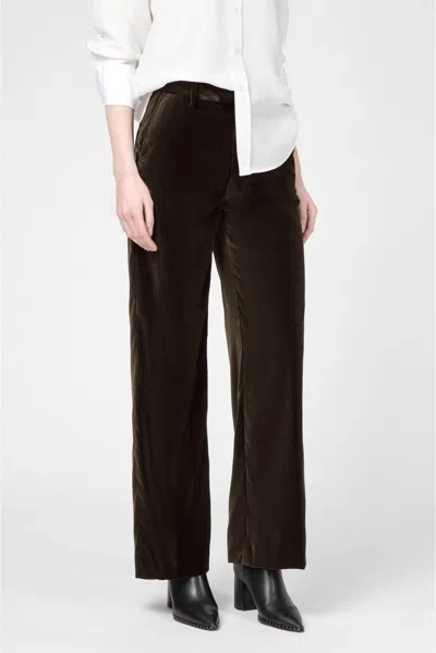 Closed Velvet Trouser Pants In Dark Green In Black