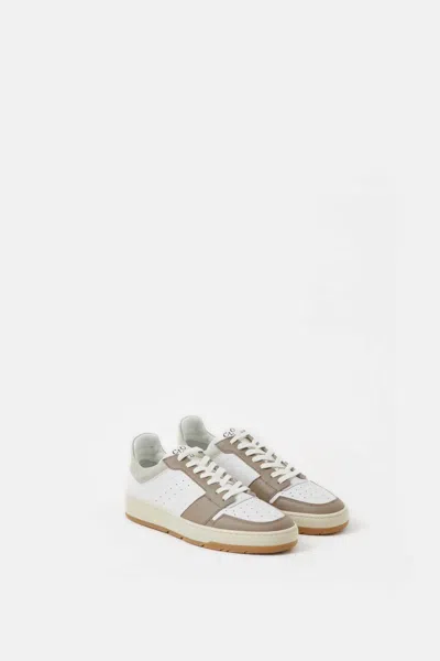 Closed Women's Low Top Sneaker In Taupe Beige In Multi