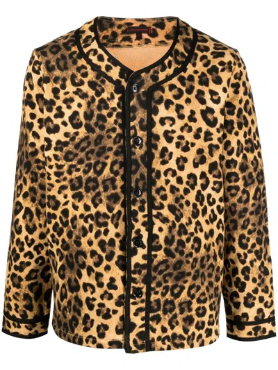 Clot Leopard-print Button-front Cardigan In 褐色
