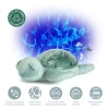Cloud B Kids'  Tranquil Turtle Eco In Green