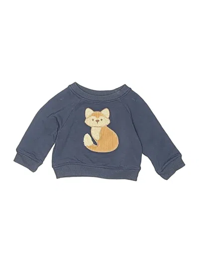 Pre-owned Cloud Island Babies' Pullover Sweater In Blue