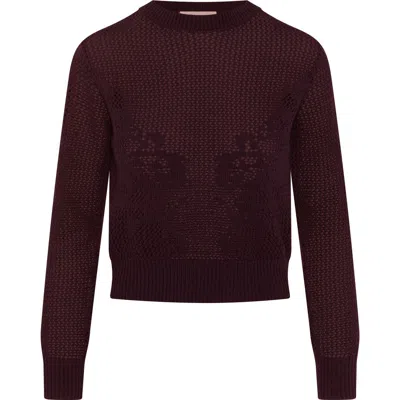 Club Malibu Crochet Design Cropped Ribbed Trim Sweater In Brown