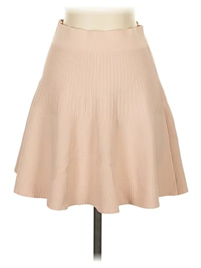 Pre-owned Club Monaco Casual Skirt In Brown