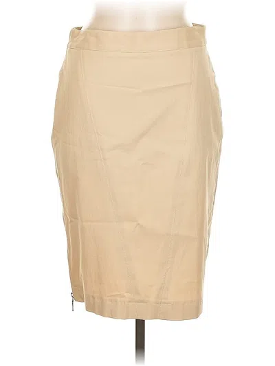 Pre-owned Club Monaco Casual Skirt In Brown