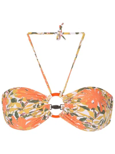 Clube Bossa Floral-print Bikini Top In Orange