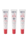 C.o. Bigelow Rose Salve Tube Trio