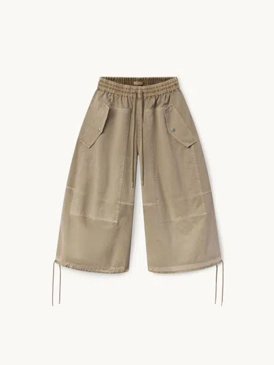 Co Garment-dyed Braies Pant Chestnut M In Brown