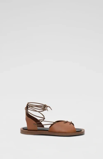 Co Gladiator Sandal